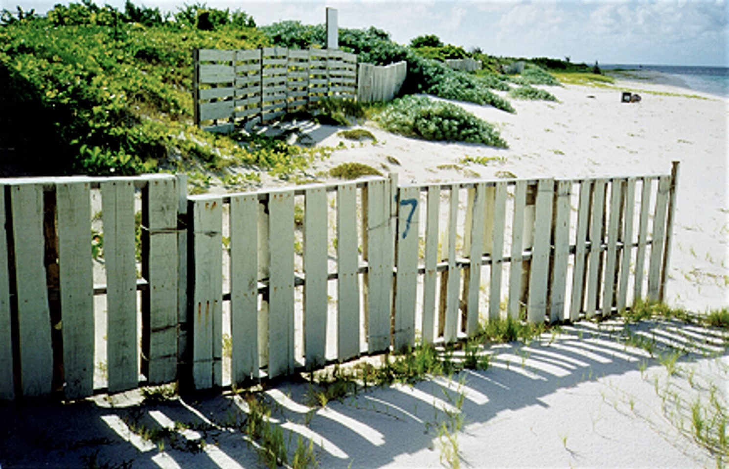 For Dunes, Shape (and Size) Matters Smith Warner International Ltd.